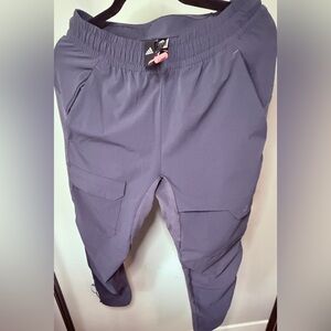 Adidas Blue Hiking Joggers